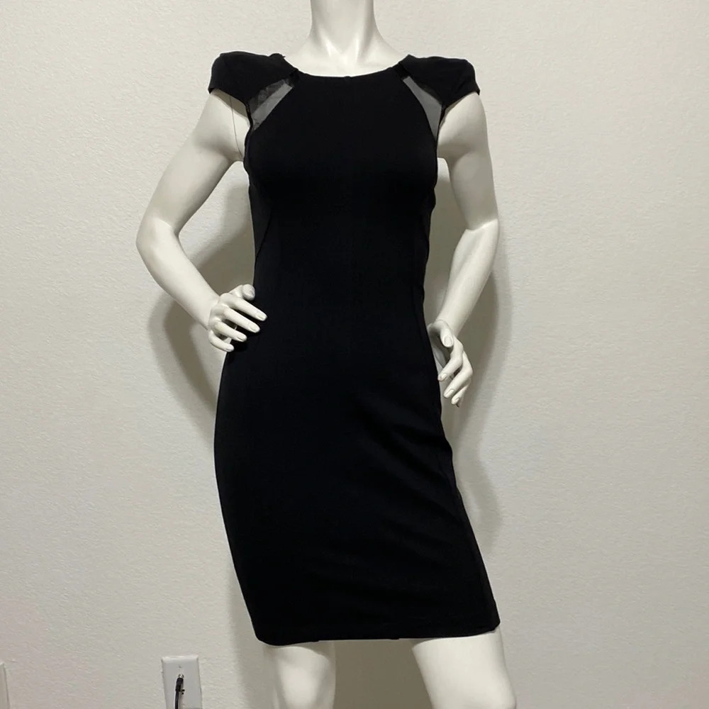 Ted Baker Black Mesh Dress